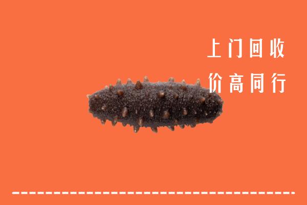 收购行情：渌口区回收海参