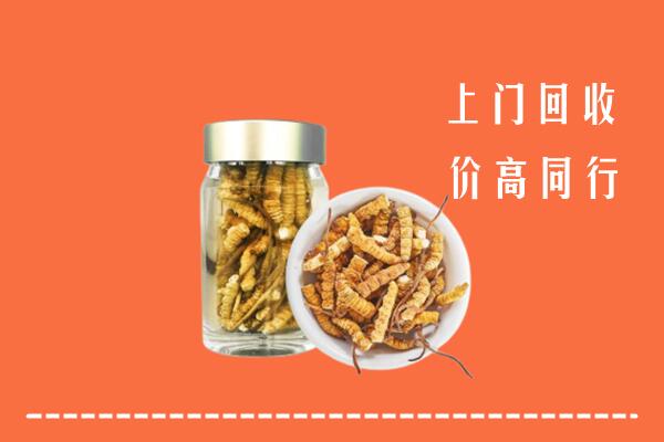 渌口区回收冬虫夏草